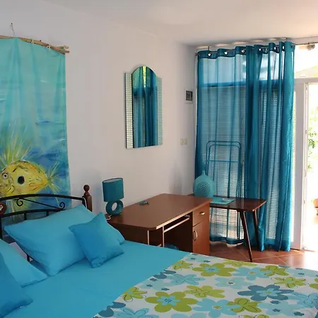 Palm House Apartment