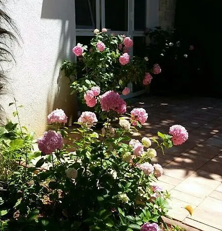 Apartment Palm House Rovinj