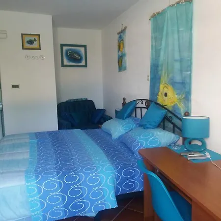 Palm House Apartment